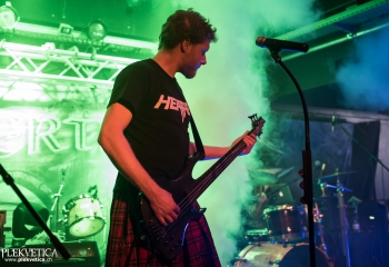 Pertness - Photo by Nati