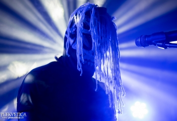 Pertness - Photo by Nati