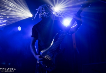 Pertness - Photo by Nati