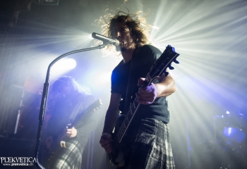 Pertness - Photo by Nati