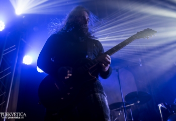 Pertness - Photo by Nati