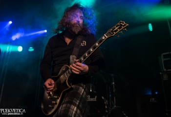 Pertness - Photo by Nati