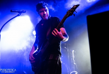 Pertness - Photo by Nati