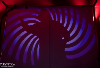 Pertness - Photo by Nati