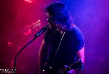 Pertness - Photo by Nati