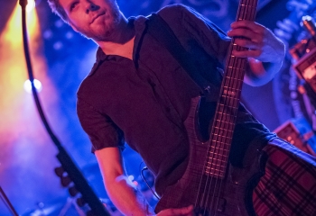 Pertness - Photo By Dänu