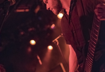 Pertness - Photo By Dänu