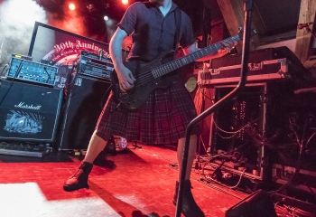 Pertness - Photo By Dänu