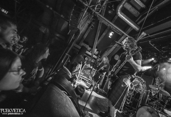 Pertness - Photo By Dänu