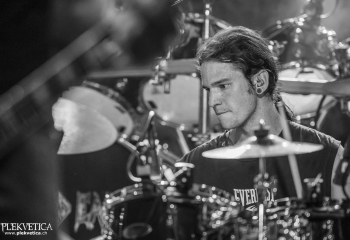 Pertness - Photo By Dänu