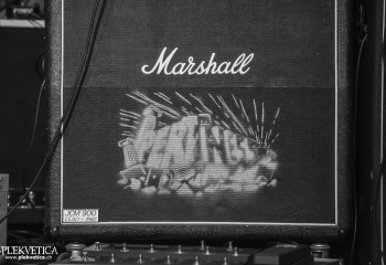 Pertness - Photo By Dänu