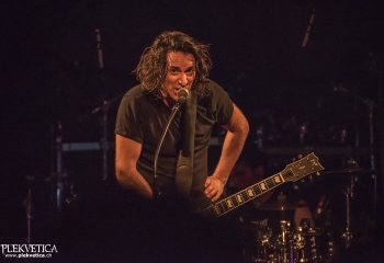 Pertness - Photo By Dänu