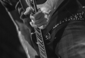 Pertness - Photo By Dänu