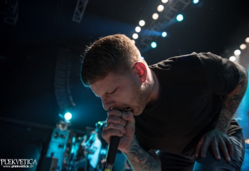 Polar - Photo by Marc