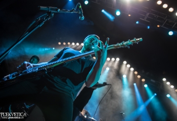 Polar - Photo by Marc