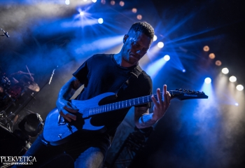 Polar - Photo by Marc