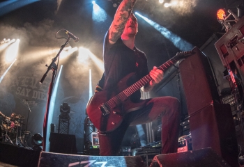 Polar - Photo by Marc