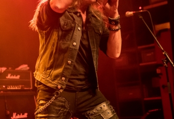 Roadwolf - Photo by Marc