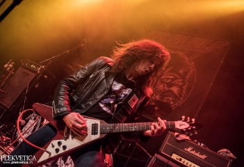 Roadwolf - Photo by Marc