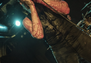 Serpens Luminis - Photo By Dänu