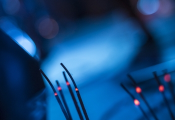 Serpens Luminis - Photo By Dänu