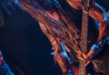 Serpens Luminis - Photo By Dänu