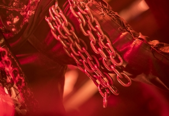 Slayer - Photo By Dänu