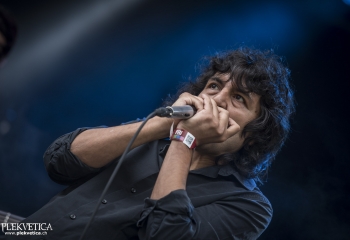 The Trap - Photo By Dänu