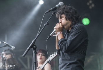 The Trap - Photo By Dänu