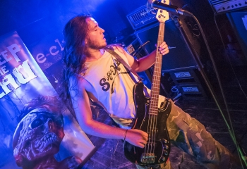 TRAITOR - Photo By Dänu