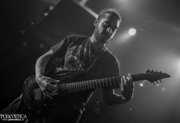 Tyrmfar  - Photo by Marc