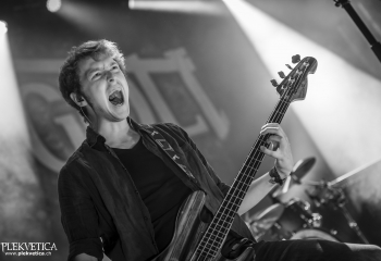 Versengold - Photo By Dänu