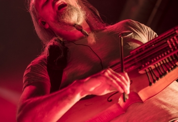 Versengold - Photo By Dänu