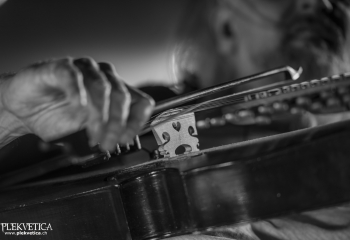 Versengold - Photo By Dänu