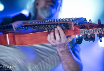 Versengold - Photo By Dänu