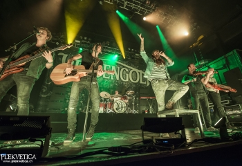 Versengold - Photo By Dänu