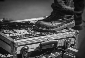 Wolf Counsel - Photo By Dänu