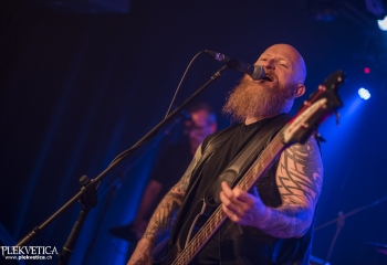 Wolf Counsel - Photo By Dänu