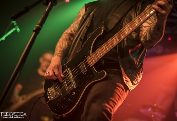 Wolf Counsel - Photo By Dänu