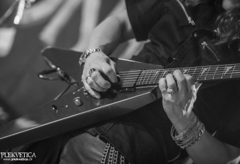 Wolf Counsel - Photo By Dänu