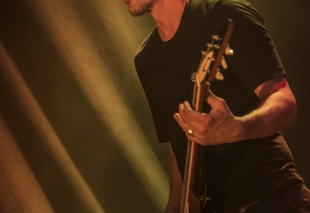 Wolf Counsel - Photo By Dänu