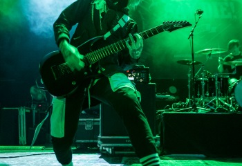 Alpha Wolf - Photo by Marc