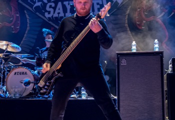 Alpha Wolf - Photo by Marc