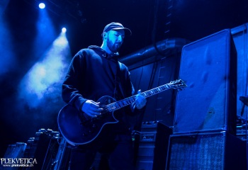 Alpha Wolf - Photo by Marc