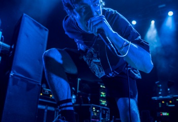 Alpha Wolf - Photo by Marc