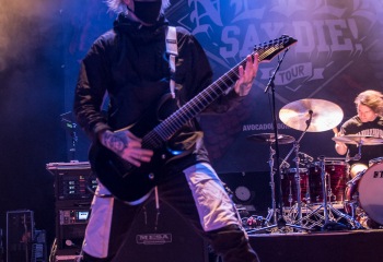 Alpha Wolf - Photo by Marc