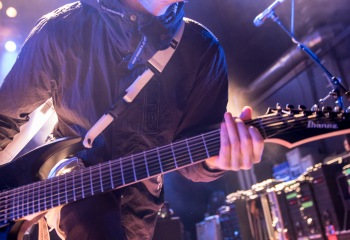 Alpha Wolf - Photo by Marc