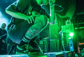 Alpha Wolf - Photo by Marc