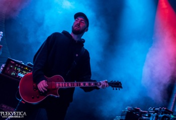 Alpha Wolf - Photo By Marc