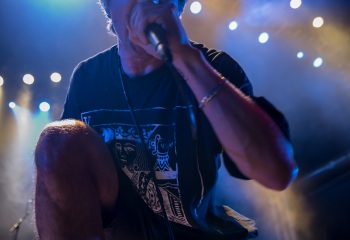 Alpha Wolf - Photo By Marc